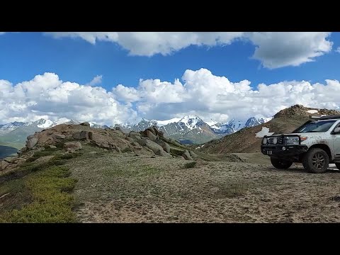 Видео: Чажа 2020