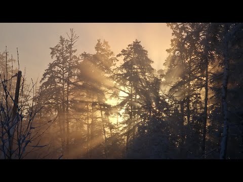 Видео: Куттал. Куткун тал...