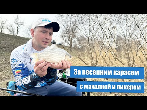 Видео: За весенним карасем с махалкой и пикером.