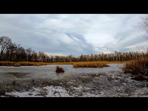 Видео: Пробирався через Непрохідні Хащі,щоб потрапити На Лід в ЦЕ Болото