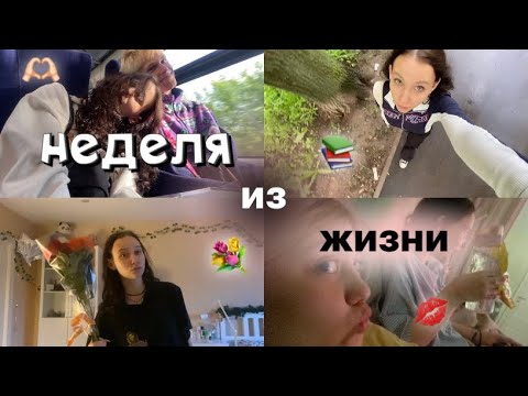 Видео: неделя из жизни//влог★彡