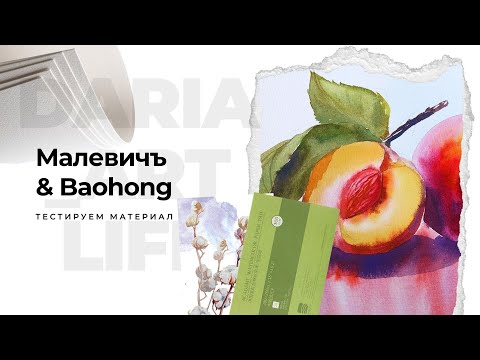 Видео: Тестирую бумагу Малевичъ и Baohong. Какую бумагу для акварели выбрать? Рисуем яркие сливы