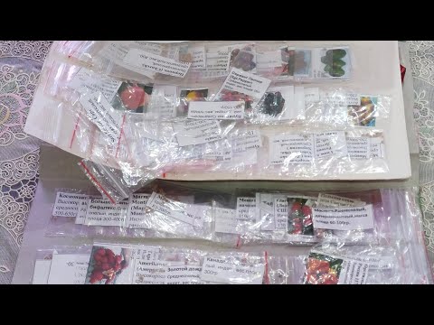 Видео: Лучшие коллекционные сорта томатов🍅🍅🍅😘