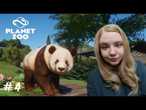 Видео: Теперь панды ➤Planet Zoo #4