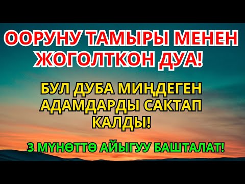 Видео: Пайгамбардын дубасы – оорунун тамырын кургатат! Дароо айыгуу келет
