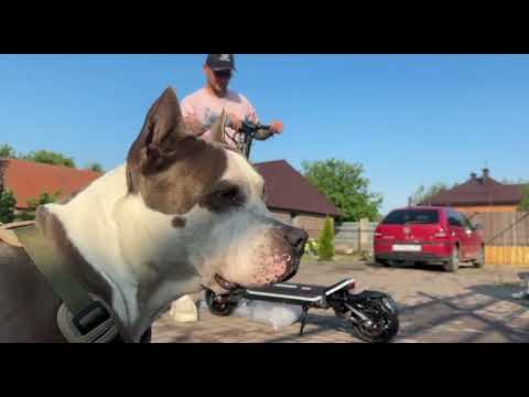 Видео: Краткий обзор Teverun mini pro