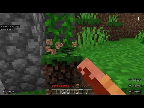 Видео: Просто чилим в Minecraft, 05.08.2024 #minecraft #games #top