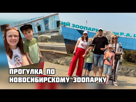 Видео: Прогулка по Новосибирскому зоопарку. Зоопарк им. Шило в Новосибирске. Отдыхаем с семьей в НСК