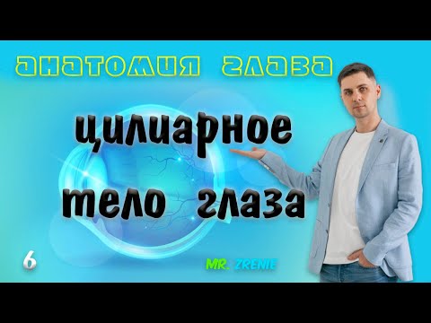 Видео: Цилиарное тело глаза | ресничное тело