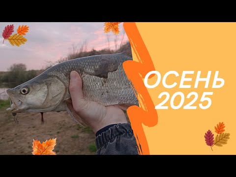 Видео: Я ещё не распродал все снасти. Возвращение на воду! 2025
