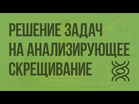 Видео: Решение генетических задач на анализирующее скрещивание. Видеоурок по биологии 10 класс