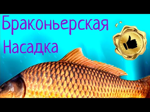 Видео: Браконьерская секретная НАСАДКА !!!!!