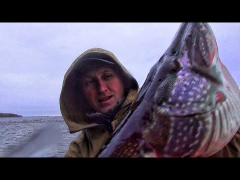 Видео: РЫБАЛКА ВДАЛИ ОТ ЖЁН. ВЕЛИКАЯ РЕКА ОБЬ.
