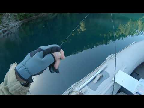 Видео: Форель на озере Рица  #рыбалкасгидом #абхазия 
