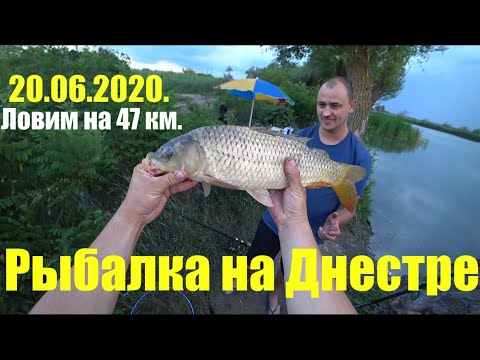 Видео: Рыбалка на Днестре 20.06.2020. Ловим на 47 км.