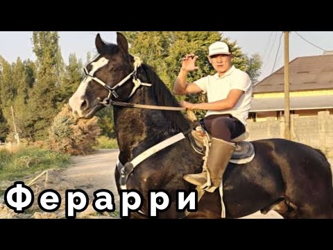 Видео: Ферарриге Жет Пай Пай Паай🔥
