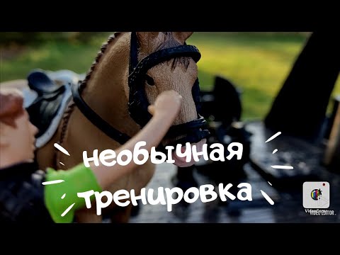 Видео: Необычная тренировка лошадей ШЛЯЙХ/ жеребёнок который не разу не был на суше