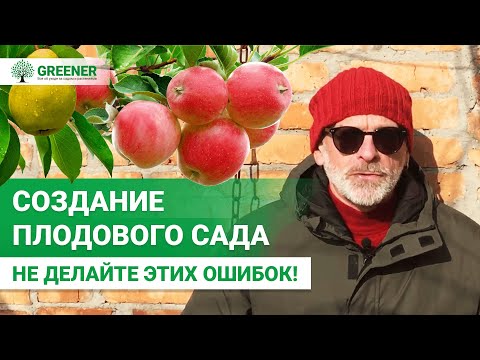 Видео: 10 ГЛАВНЫХ ошибок при создании плодового сада. ЭТО ОЧЕНЬ ВАЖНО!