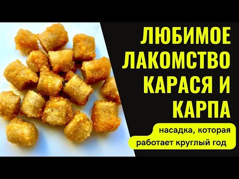 Видео: Насадка для рыбалки на КАРАСЯ и КАРПА. Работает в любое время года.