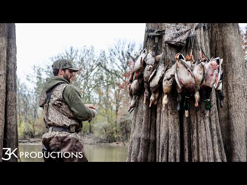 Видео: Смешанная сумка Арканзаса раннего сезона