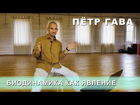 Видео: Пётр Гава: Биодинамика как явление