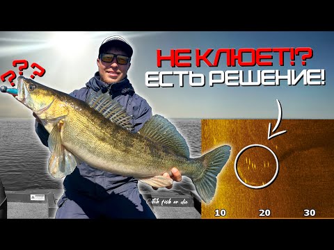 Видео: НА ТОЧКЕ 1000 СУДАКОВ, НО НИКТО НЕ ЛОВИТ! Как поймать пассивного судака летом!?