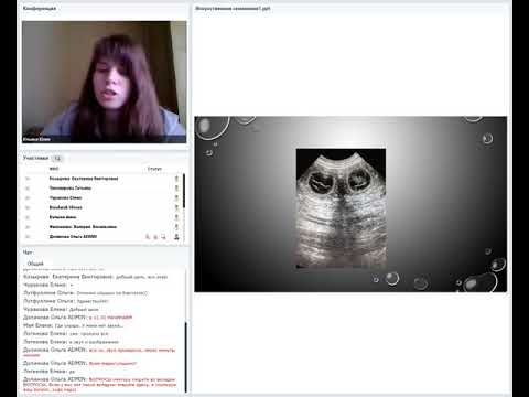 Видео: Искусственное осеменение собак. Юлия Ильина. 06 05 2019