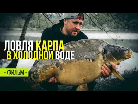 Видео: ЛОВЛЯ КАРПА в ХОЛОДНОЙ ВОДЕ. Попали в слом погоды. Открытие сезона 2019