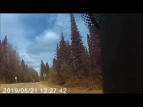 Видео: Беспредел ДПС г .Александровска Пермского края.