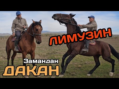 Видео: ДАКАН УРУК ТЕКТҮҮ ЛИМУЗИН ЗАМАНДАН