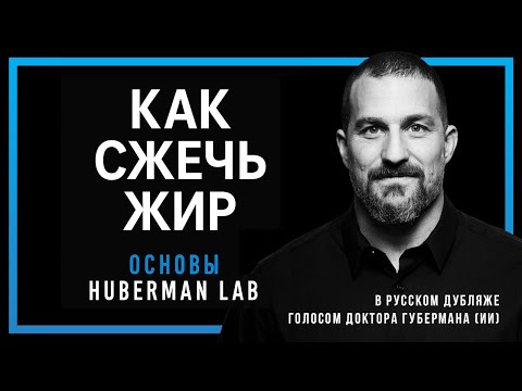 Видео: Как жечь жир — Научные основы жиросжигания от Доктора Эндрю Губермана