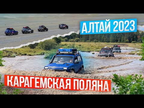 Видео: Карагемская Поляна. АЛТАЙ 2023 г.