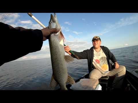 Видео: Ловля щуки на мелководье. Ловля на джиг. озеро Ильмень.