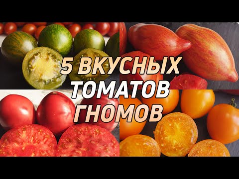Видео: 5 ВКУСНЫХ ТОМАТОВ ГНОМОВ!