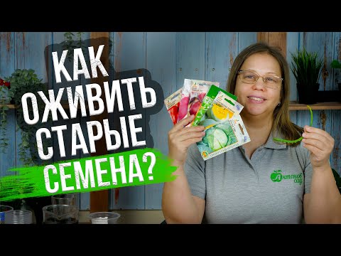 Видео: Не выбрасывайте старые семена! Проверяем всхожесть семян