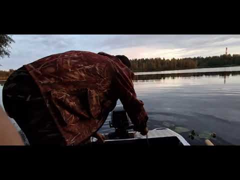 Видео: Краткий обзор двухтактного лодочного мотора Parsun 9.8.,обкатка.Ловля спиннингом.