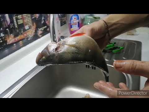 Видео: Как сделать чучело из рыбы