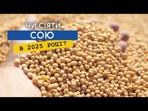 Видео: Яка буде ціна на сою? Сіяти сою в 2025 чи ні?