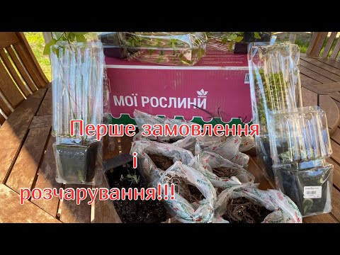 Видео: Розпаковка посилки від інтернет магазину Флоріум! Огляд нових рослин #весна2024 #мійсад #новірослини