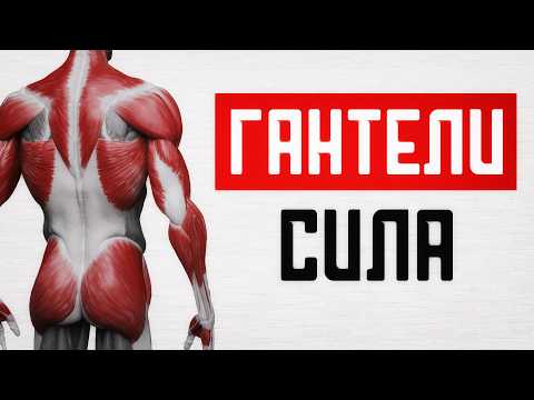 Видео: Сокрушительная сила с ГАНТЕЛЯМИ! Тренировка на все мышцы!