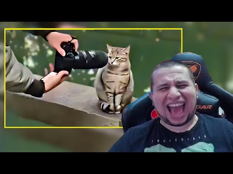 Видео: МАНУРИН СМОТРИТ UNUSUAL MEMES COMPILATION V265