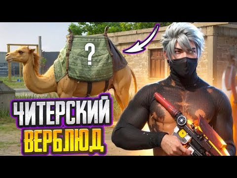 Видео: ЛУТАЮ ТОЛЬКО НОВЫХ ВЕРБЛЮДОВ FREE FIRE ФРИ ФАЕР