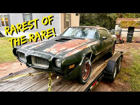 Видео: Помогите спасти Brewster Green 455 4-скоростной Trans Am 1973 года!