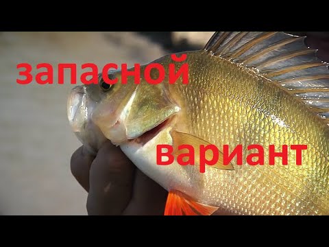 Видео: ЗАПАСНОЙ ВАРИАНТ