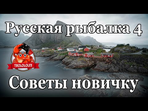 Видео: Русская рыбалка 4  Норвежское море. Советы для новичков.