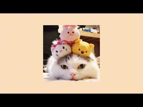 Видео: нервы-нервы (Speed up)