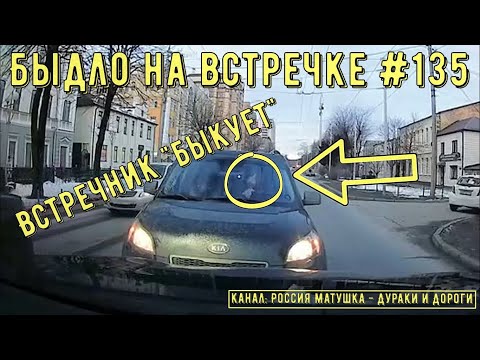 Видео: Быдло на встречке! Подборка на видеорегистратор №135! Road Rage Compilation on Dashcam!