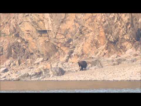 Видео: Охотское Море 2012