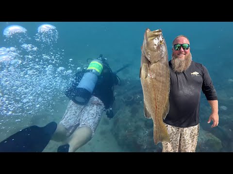 Видео: Подводная охота в ЧИСТЫХ водах залива Флориды! — Жареные палочки из групера