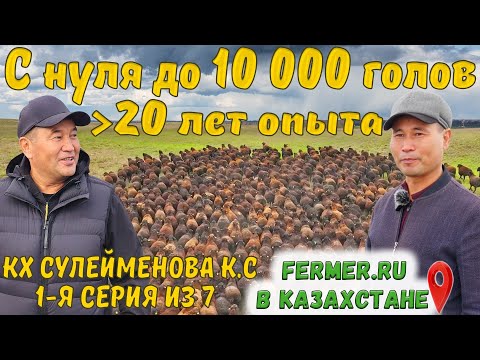 Видео: Племенное хозяйство по Эдильбаевской породе овец в Акмолинской обл., Казахстан| КХ Сулейменова К.С.